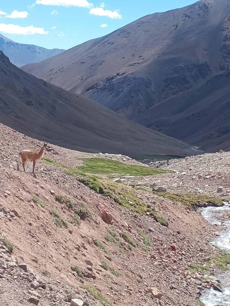 Grupo de montañistas durante la expedición al Cerro Mercedario, cordillera de los Andes, Argentina.